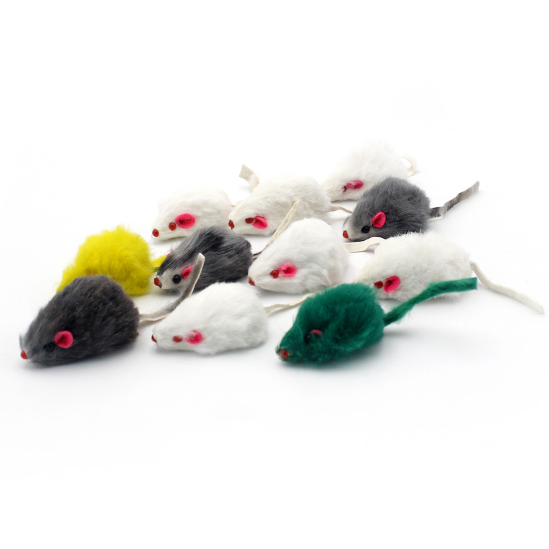 Fur False Mice Toys For Cats Cat Toys Cats Dogs Products Pet Supplies Fur False Mice Toys For Cats Cat Toys Cats Dogs Products Pet Supplies KDBazar online store: Extensive range of plus size leggings, workout leggings, and tights to suit your needs and style. Shop now and discover the ideal fit for you.
