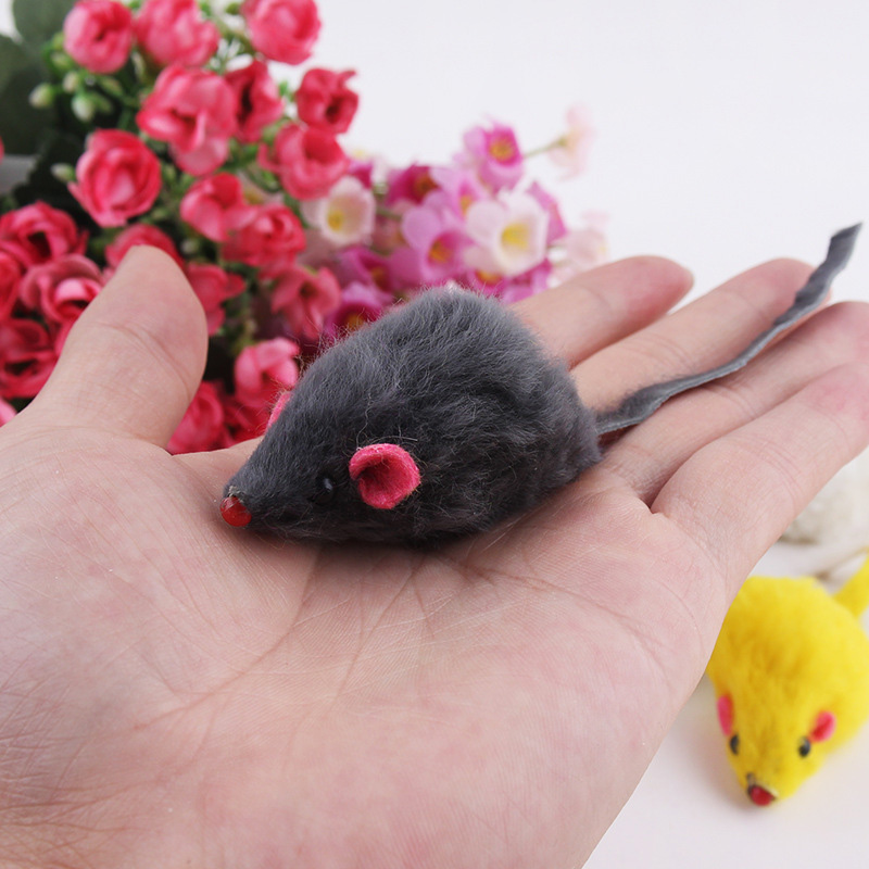 Fur False Mice Toys For Cats Cat Toys Cats Dogs Products Pet Supplies Fur False Mice Toys For Cats Cat Toys Cats Dogs Products Pet Supplies KDBazar online store: Extensive range of plus size leggings, workout leggings, and tights to suit your needs and style. Shop now and discover the ideal fit for you.