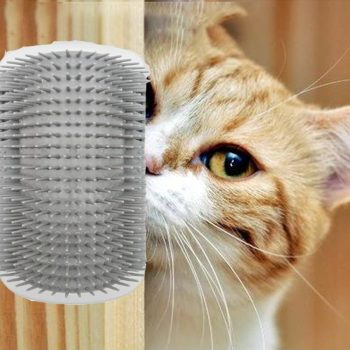 Self Groomer Massage Brush for Cats Cats Dogs Products Pet Grooming Pet Supplies KDBazar online store: Extensive range of plus size leggings, workout leggings, and tights to suit your needs and style. Shop now and discover the ideal fit for you.
