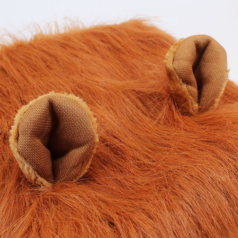 Lion Wig for Dogs  Lion Wig for Dogs