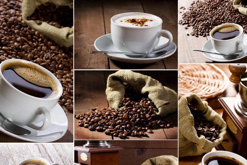 Mini Coffee Beans Grinder Stainless Steel | Kitchen Accessories Coffee and Tea Tools Kitchen KDBazar online store: Extensive range of plus size leggings, workout leggings, and tights to suit your needs and style. Shop now and discover the ideal fit for you.