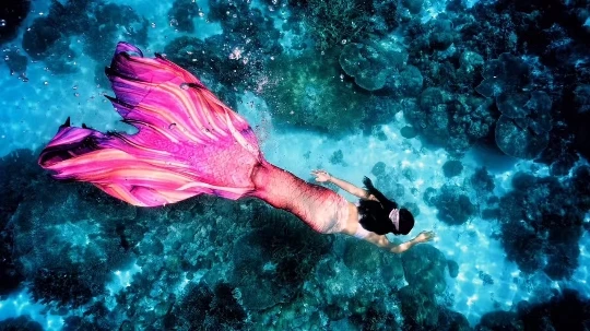 Mermaid Tails Swimsuit Stunning Fin Fun 14T Mermaid Tails Swimsuit Stunning Fin Fun 14T