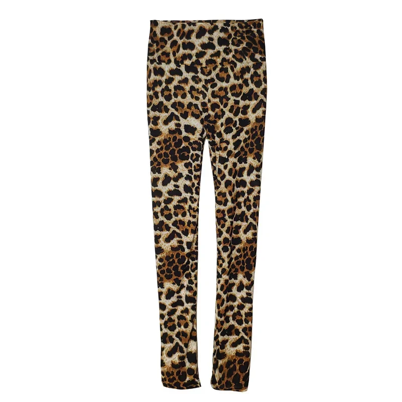 Color Koala Leggings Plus Size High Waist 3XL Limited Leggings Printed leggings Push Up Leggings Women’s Leggings Fashion Color Koala Leggings Plus Size High Waist 3XL Limited Leggings Printed leggings Push Up Leggings Women's Leggings Fashion KDBazar