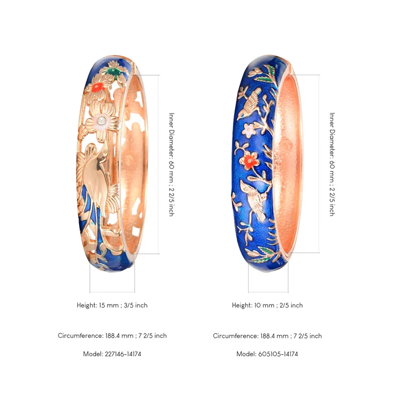 Double bangles set for women worn on wrist